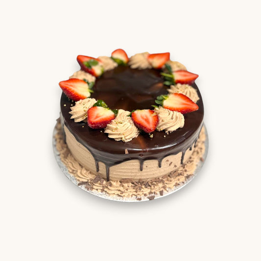 IS10 Chocolate Sponge