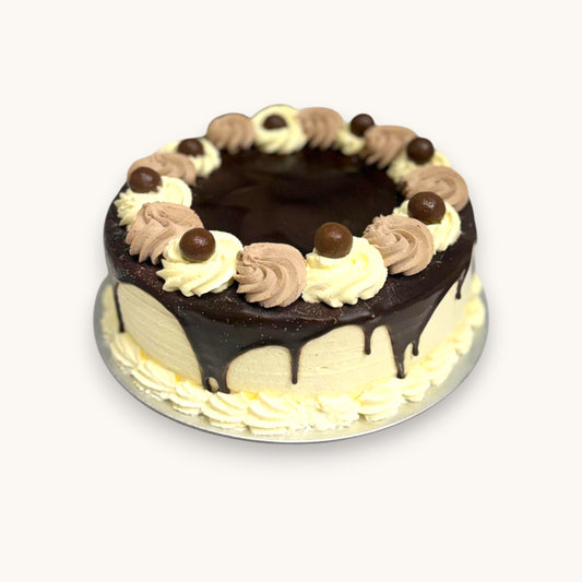 IS12 Choc Vanilla Sponge